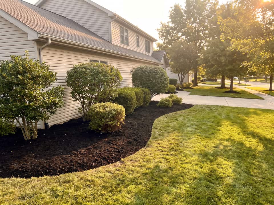Planting bed after maintenance, fresh mulch raked even and a spade-cut edge against the lawn